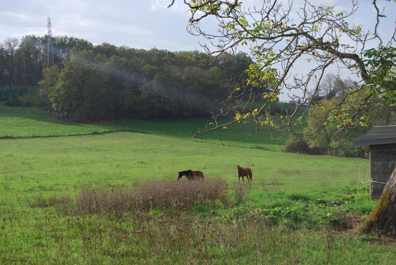 Gite Les Glycines Diges Exterior foto